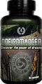 Antaeus Labs Oneiromancer