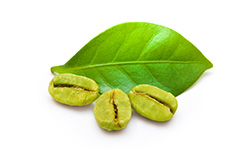 Green Coffee
